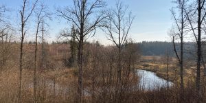 Plot preparation for ODYL House